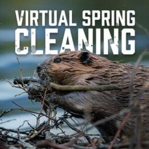 Spring Cleaning