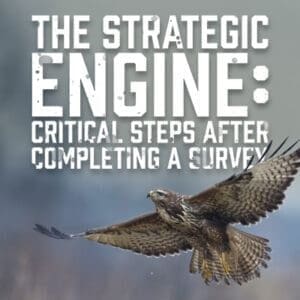 Strategicengine