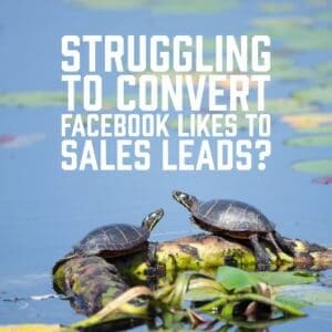 Struggling to Convert Facebook Likes to Sales Leads?