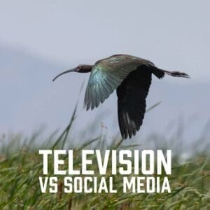 Television vs Social Media