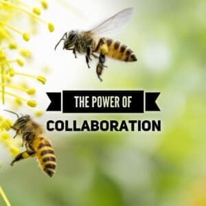 The Power of Collaboration