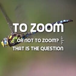 zoom