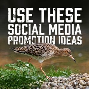 Using these Social Media Promotion Ideas