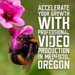 VideoProduciton