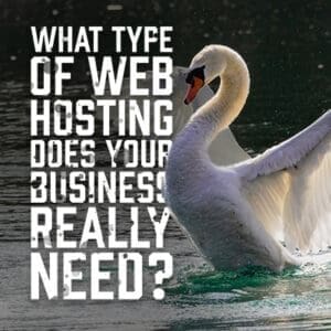 WebHosting