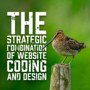 WebsiteCoding