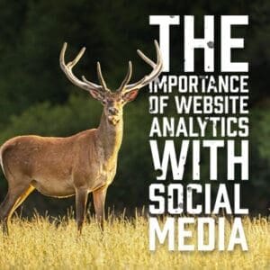 Websiteanalyics