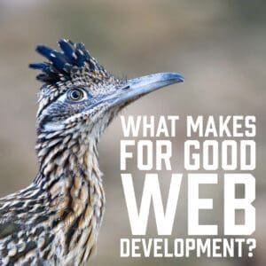 What Makes for Good Web Development?