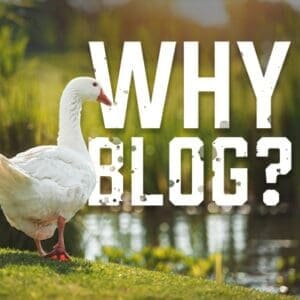 Why Blog