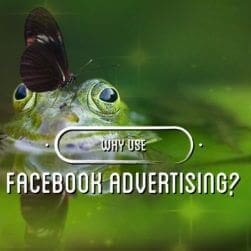 Why Use Facebook Advertising