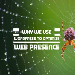 Why We Use WordPress to Optimize Web Presence