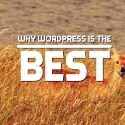 Why WordPress is the Best