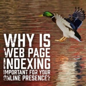 Web Page Indexing