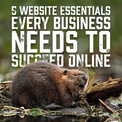 EveryBusiness