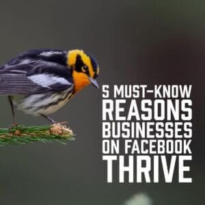 5 Must-Know Reasons Businesses on Facebook Thrive