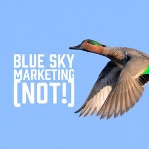 Blue Sky Marketing (NOT!)