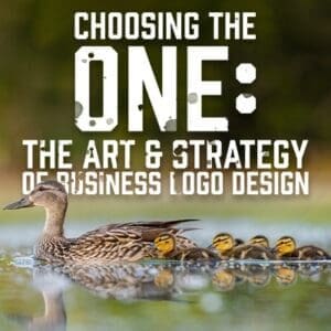 Choosingtheone
