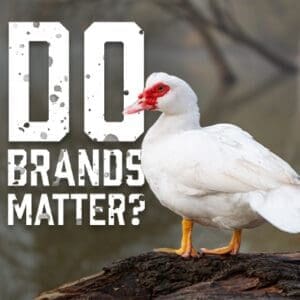 DoBrandsMatter